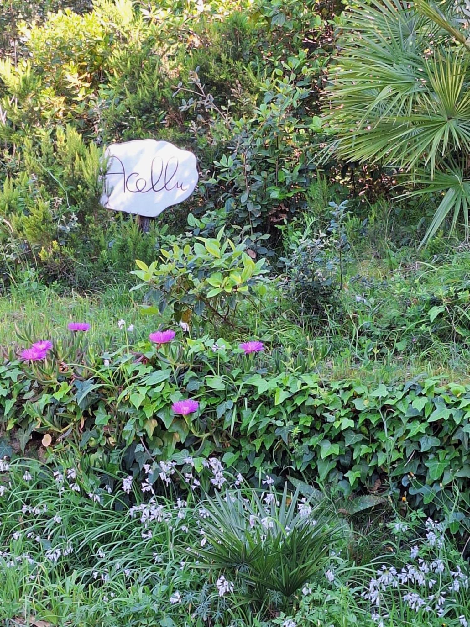 Gite Acellu Bonifacio (Corsica) Exterior foto