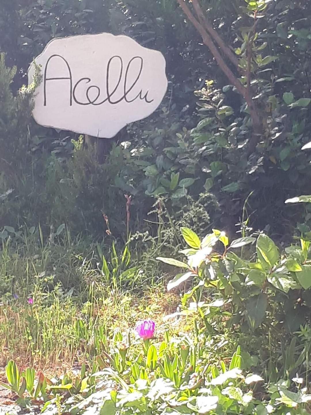 Gite Acellu Bonifacio (Corsica) Exterior foto