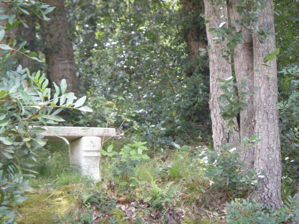 Gite Acellu Bonifacio (Corsica) Exterior foto